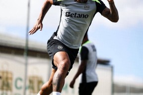 开云网站 -国际比赛日意甲焦点战，波尔图刷新队史纪录，信心回归，控场能力受关注的简单介绍